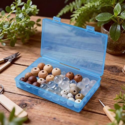 LJY 24-Piece Multi-Size Plastic Storage Containers with Lids, Small Craft Organizers for Beads, Diamond Art,Small Parts,Jewelry and Hardware, Stackable Hinged Box Set (Blue)