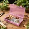 LJY 24-Piece Multi-Size Plastic Storage Containers with Lids, Small Craft Organizers for Beads, Diamond Art,Small Parts,Jewelry and Hardware, Stackable Hinged Box Set (Pink)