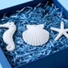 LJY 30 Pieces White Resin Pencil Finger Starfish Seahorse & Seashells Set with Drilled Holes for Wedding Home Decor and Craft Project