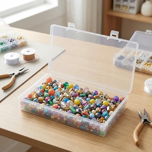 LJY 12 Pieces Rectangular Empty Mini Clear Plastic Organizer Storage Box Containers with Hinged Lids (6.1 x 3.3 x 1.2 inch, Transparent)