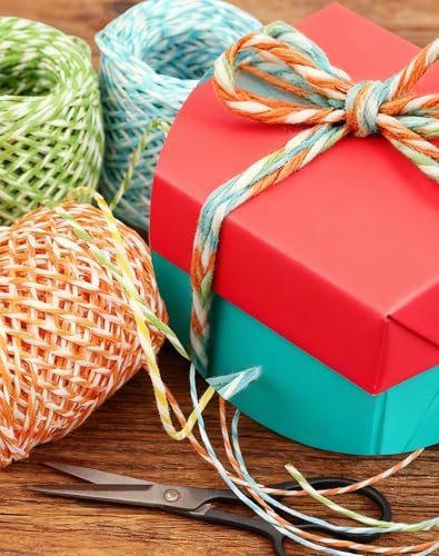 9 Rolls Multi-Colored Raffia Paper Twine String Ribbon for Gift Wrapping Box Packing, Artworks, DIY Crafts, Party Favor and Embellishments