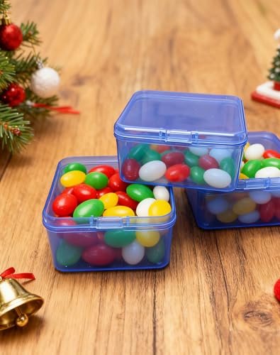 LJY 60 Pieces Square Mini Plastic Storage Containers Box Case with Lids for Small Items and Other Craft Projects (Blue, 2.5 x 2.5 x 1.4 inch)