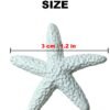 LJY 40 Pieces 1.2 Inches White Resin Pencil Finger Starfish for Wedding Home Decor and Craft Project