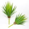 LJY 2 Pieces Realistic Artificial Faux Succulent Yucca Vera Greenhouse Small Plants Unpotted for Home Garden Decoration (Spring Green)