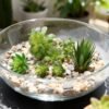 LJY 5-Pack Artificial Succulent Plants - Realistic Fake Greenery for Home Decor, Wedding Centerpieces & Terrarium Displays (Green, Mixed Sizes)