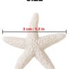 LJY 40 Pieces 1.2 Inches Beige Resin Pencil Finger Starfish for Wedding Home Decor and Craft Project