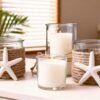 LJY 25 Pieces White Resin Pencil Finger Starfish for Wedding Decor, Home Decor and Craft Project, 2.3 Inches