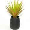 LJY 2 Pieces Realistic Artificial Faux Succulent Yucca Vera Greenhouse Small Plants Unpotted for Home Garden Decoration (Autumn Green)