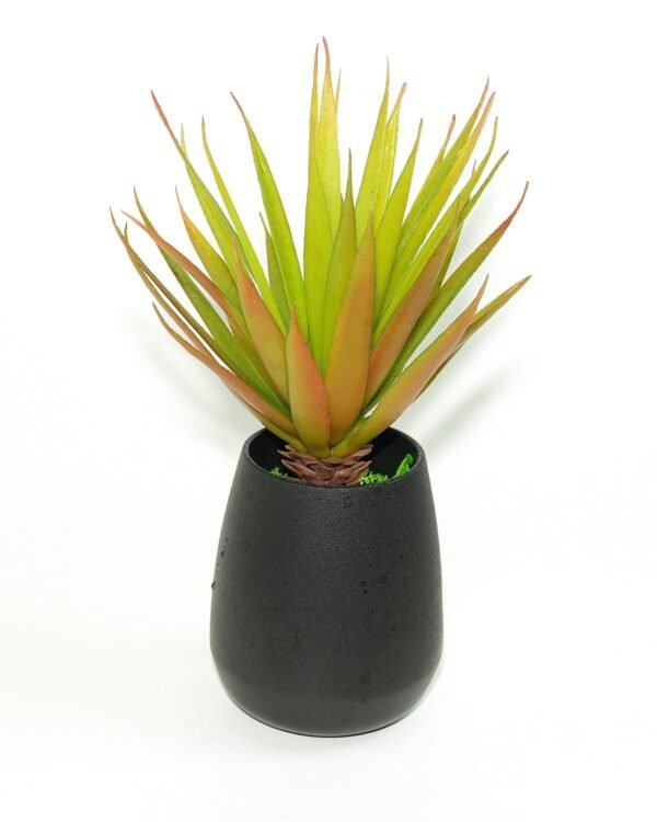 LJY 2 Pieces Realistic Artificial Faux Succulent Yucca Vera Greenhouse Small Plants Unpotted for Home Garden Decoration (Autumn Green)