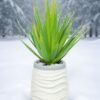 LJY 2 Pieces Realistic Artificial Faux Succulent Yucca Vera Greenhouse Small Plants Unpotted for Home Garden Decoration (Spring Green)
