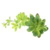 LJY 5-Pack Artificial Succulent Plants - Realistic Fake Greenery for Home Decor, Wedding Centerpieces & Terrarium Displays (Green, Mixed Sizes)
