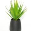 LJY 2 Pieces Realistic Artificial Faux Succulent Yucca Vera Greenhouse Small Plants Unpotted for Home Garden Decoration (Spring Green)