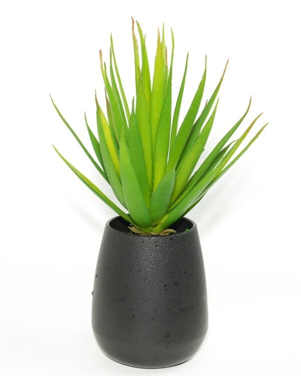 LJY 2 Pieces Realistic Artificial Faux Succulent Yucca Vera Greenhouse Small Plants Unpotted for Home Garden Decoration (Spring Green)