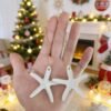 LJY Resin Starfish Ornaments with Hanging Rope - 6x6cm Ocean Beach Decor for DIY Craft,Christmas Tree, Wreath, Party & Home Decoration,Fish Tank Aquarium Decor,Nautical Party(2.36x2.36x0.31in) White