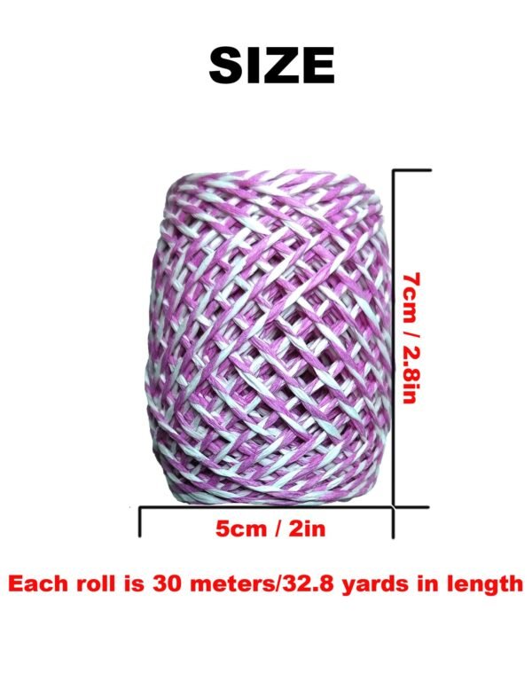 9 Rolls Multi-Colored Raffia Paper Twine String Ribbon for Gift Wrapping Box Packing, Artworks, DIY Crafts, Party Favor and Embellishments