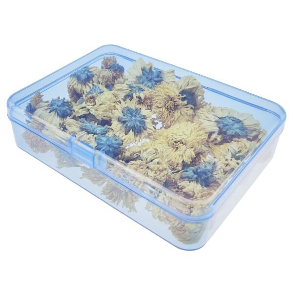 LJY 12 Pieces Rectangular Empty Mini Clear Plastic Organizer Storage Box Containers with Hinged Lids (4.5 x 3.3 x 1.1 inch, Blue)