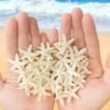 LJY 40 Pieces 1.2 Inches Beige Resin Pencil Finger Starfish for Wedding Home Decor and Craft Project