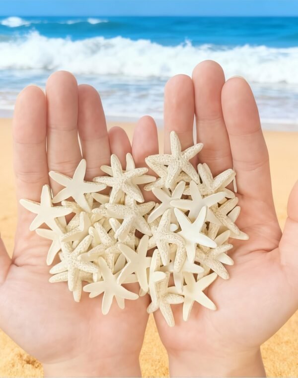 LJY 40 Pieces 1.2 Inches Beige Resin Pencil Finger Starfish for Wedding Home Decor and Craft Project
