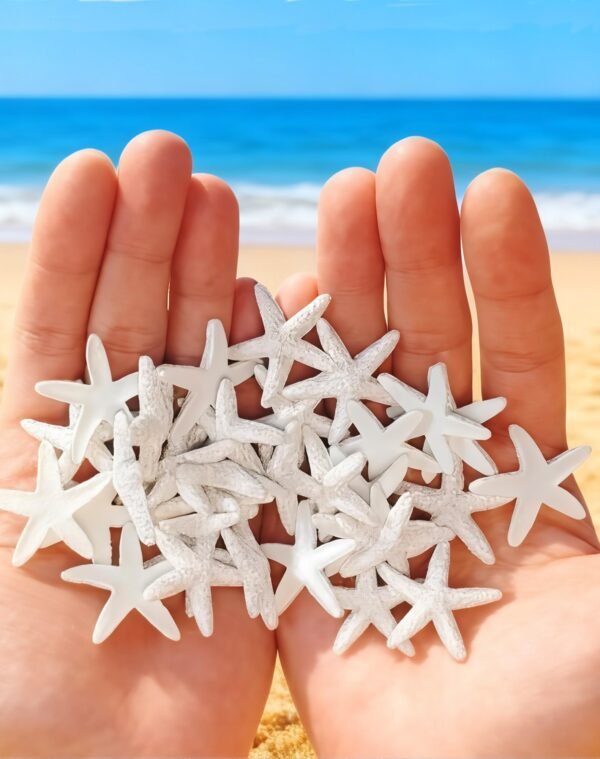 LJY 40 Pieces 1.2 Inches White Resin Pencil Finger Starfish for Wedding Home Decor and Craft Project