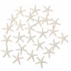 LJY 25 Pieces Beige Resin Pencil Finger Starfish for Wedding Decor, Home Decor and Craft Project, 2.3 Inches