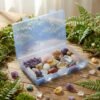 LJY 6 Pieces Rectangular Empty Mini Clear Plastic Organizer Storage Box Containers with Hinged Lids (7.1 x 4.3 x 1.2 inch, Blue)