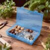 LJY 24-Piece Multi-Size Plastic Storage Containers with Lids, Small Craft Organizers for Beads, Diamond Art,Small Parts,Jewelry and Hardware, Stackable Hinged Box Set (Blue)
