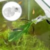 LJY 12 Pieces 45mm Suction Cup Clip Advertising Pop Display Business Cards Holder Stand Clear Clamps for Fridge Shower Aquarium