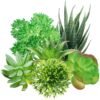 LJY 5-Pack Artificial Succulent Plants - Realistic Fake Greenery for Home Decor, Wedding Centerpieces & Terrarium Displays (Green, Mixed Sizes)